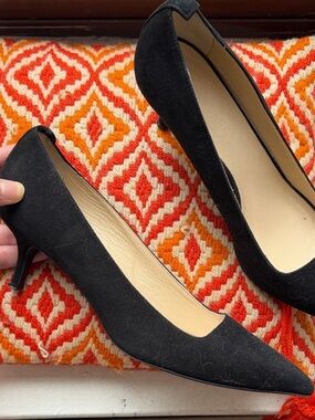 Everlane Black Suede Pointed-Toe Low Heel Pumps